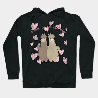 Love is in the air Hoodie